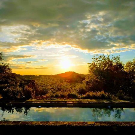 Poderi In Chianti Tavarnelle Val di Pesa Ngoại thất bức ảnh