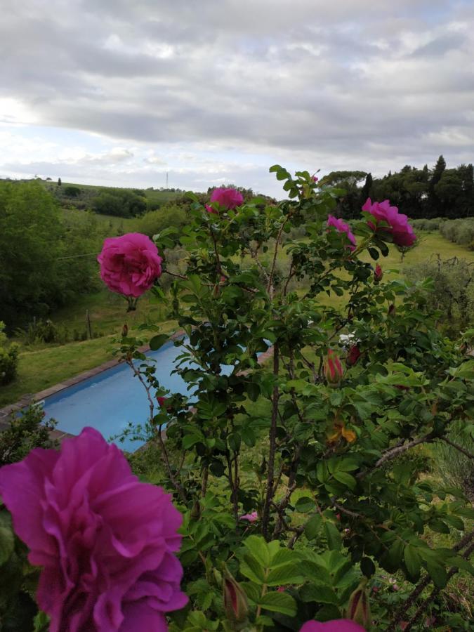 Poderi In Chianti Tavarnelle Val di Pesa Ngoại thất bức ảnh